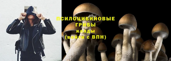 спиды Балабаново