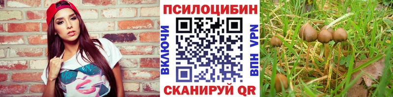 Псилоцибиновые грибы Cubensis  Луховицы 